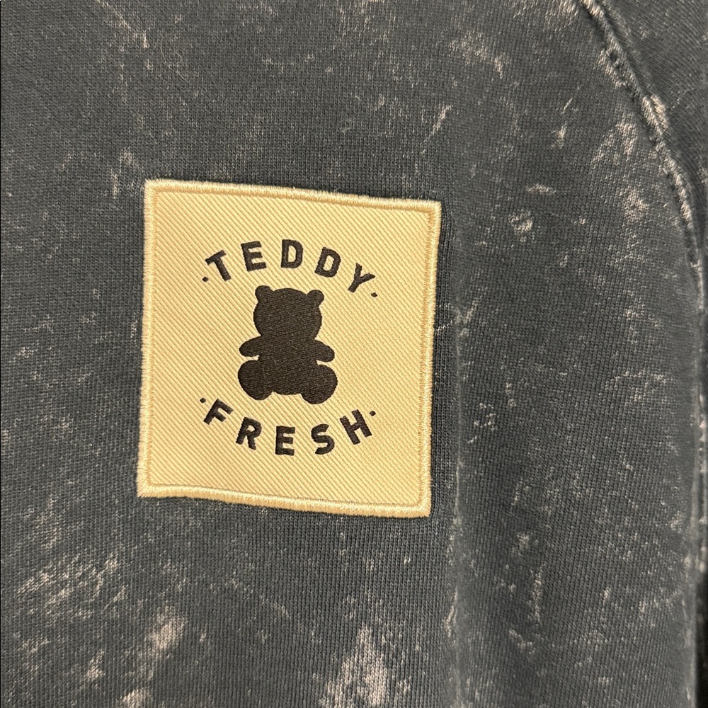 Vintage Teddy Fresh Black Acid Wash Hoodie - Picture 13 of 15